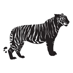 tiger