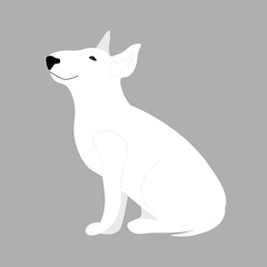 Bull terier dog walking sticker. Vector illustration in flat style. 