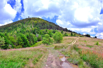 Mountain summer landscape, with mountain peak covered with forest,  ground road  and a cloudy...