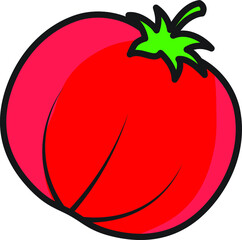 red tomato vegetable healthy food illustration