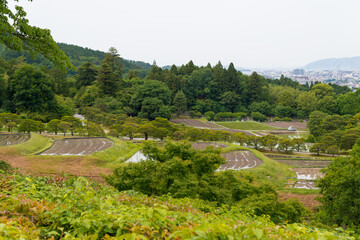 Fototapeta na wymiar Landscape view from Shugakuin Imperial Villa (Shugakuin Rikyu) in Kyoto, Japan.
