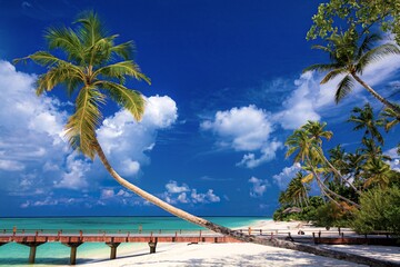 Obraz premium モルディヴ・南国のリゾートアイランドの風景