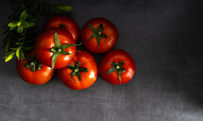 Fresh harvested tomato on a dark background