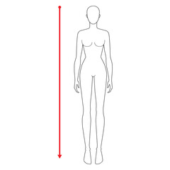 Women to do height measurement fashion Illustration for size chart. 7.5 head size girl for site or online shop. Human body infographic template for clothes. 