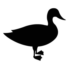 silhouette of duck