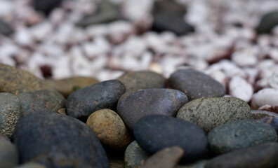 The stone has many colors.
Lay on the ground