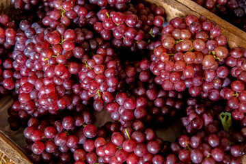 Thailand, Agriculture, Alcohol - Drink, Autumn, Business