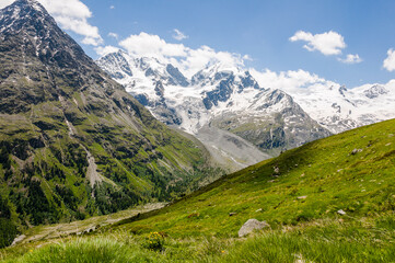 Obraz premium Piz Roseg, Piz Scerscen, Piz Sella, Wanderweg, Fuorcla Surlej, Murtèl, Corvatsch, Gletscher, Piz Bernina, Tschierva Gletscher, Piz Tschierva, Oberengadin, Alpen, Graubünden, Sommer, Schweiz