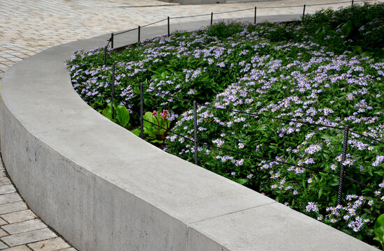 Retaining Seat Wall Made Of Pure Cast Concrete Blooms Purple Flowers Behind It The Wall Is Bordered By Metal Fences With Black Ropes Against The Entrance To The Flower Bed