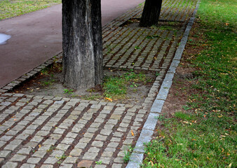 cobblestone paving in the alley between the trees with larger spacing between the tiles acts as an...