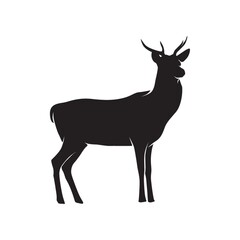 silhouette of a deer