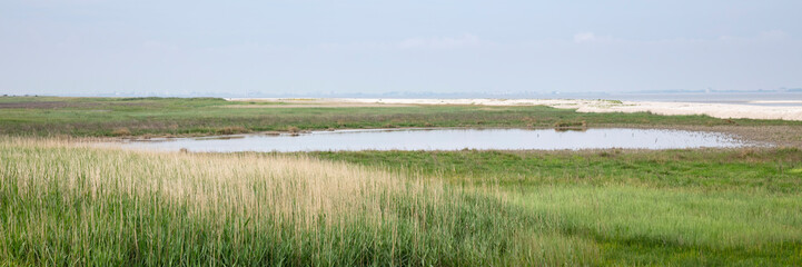 Nationalpark Wattenmeer, UNESCO Weltnaturerbe, Krummhörn, Ostfriesland, Niedersachsen,...