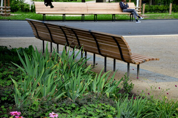 wooden long park bench with curved backrest anatomical wooden cladding made of light wood on the...