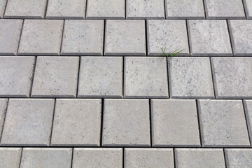 Gepflasterte Fläche, Niedersachsen, Deutschland, Europa