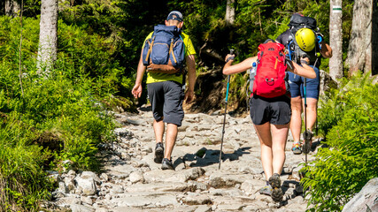 Three friends wandering along the mountainous forest trail