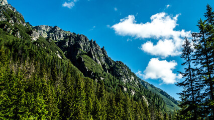 Emerging rocks from a coniferous forest