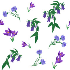 Field bells,crocus and cornflowers on a white, seamless background. Vector illustration.
