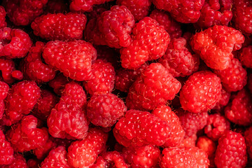 Close up texture background of raspberry berries