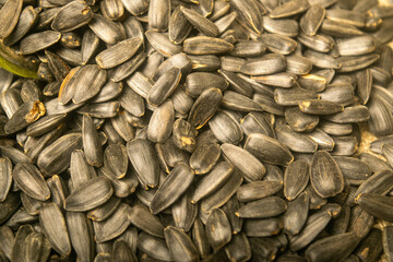 Roasted sunflower seeds with a scattering surface texture. Close up.
