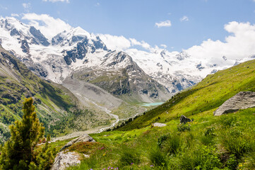 Fototapeta na wymiar Piz Roseg, Val Roseg, Lej da Vadret, Piz Sella, Piz Glüschaint, Sellagletscher, Wanderweg, Berninagruppe, Oberengadin, Corvatsch, Murtèl, Alpen, Sommer, Graubünden, Schweiz