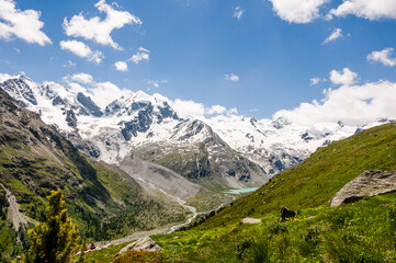 Obraz premium Piz Roseg, Val Roseg, Lej da Vadret, Piz Sella, Piz Glüschaint, Sellagletscher, Wanderweg, Berninagruppe, Oberengadin, Corvatsch, Murtèl, Alpen, Sommer, Graubünden, Schweiz