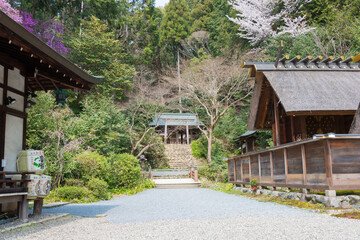 Fototapeta na wymiar Himukai-Daijingu Shrine in Yamashina, Kyoto, Japan. The Shrine was a history of over 1500 years.