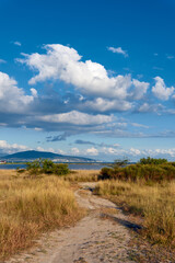 landscape with river and sky