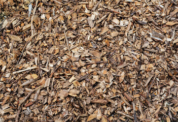 brown wood filings, dry wood texture