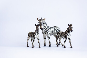 Fototapeta na wymiar Toy zebra with foals on a white background