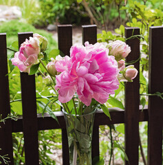 bouquet of flowers of large pink peonies in a summer garden