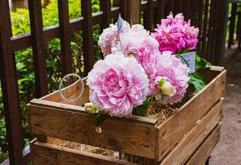 bouquet of flowers of large pink peonies in a summer garden