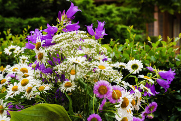 bouquet of daisies and bells in a summer garden