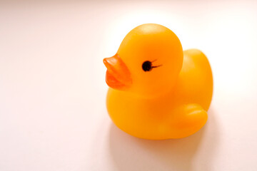 closeup view of a small yellow color rubber ducky