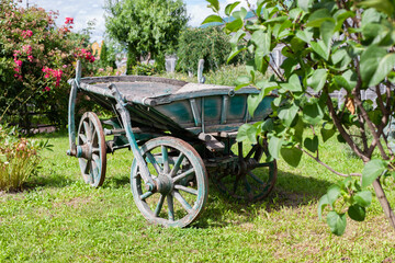 Fototapeta premium wagoon