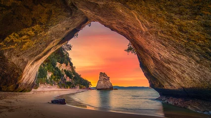 Foto auf Acrylglas Cathedral Cove Nordinsel Neuseeland Höhle © michael