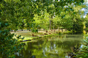Fototapeta na wymiar 公園沿いの川と豊かな緑