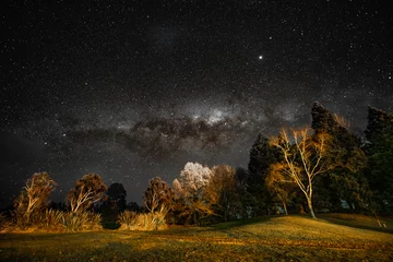 Tuinposter Waikato New Zealand dark skies astrophotography milky way New Zealand north island  © michael