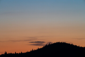 Sonnenuntergang mit Baumspitzen