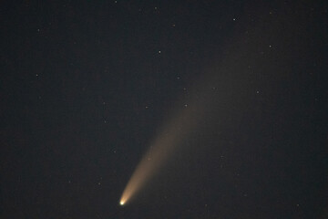 Komet Neowise