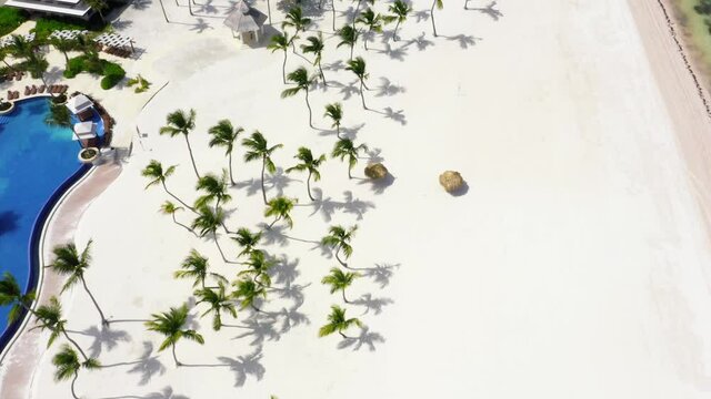 Flight in discovery seeing the palms in juanillo cap cana