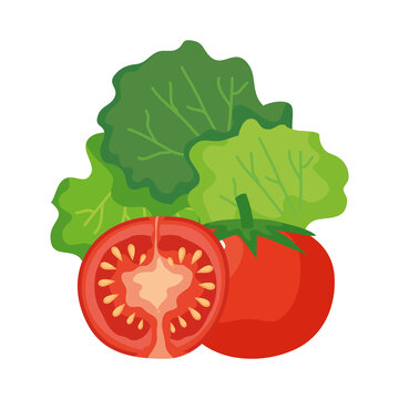 red tomatoes and green lettuce on white clip art preview