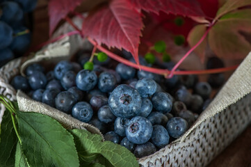 Ripe blueberries and blueberries in a wicker basket with autumn leaves. Close-up, selective focus