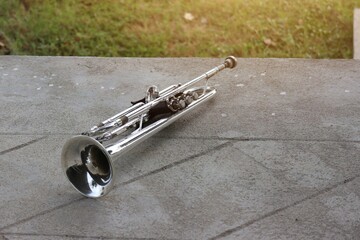 trumpet on the wall