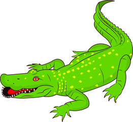 green alligator crocodile getting ready for hunt animals hungry