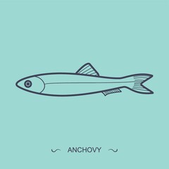 anchovy