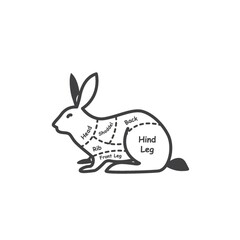 rabbit butcher cut chart