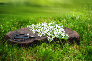 lily of the valley on wooden surface
