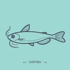 catfish