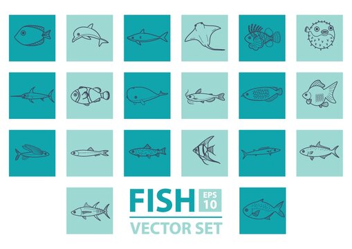 set of fishes
