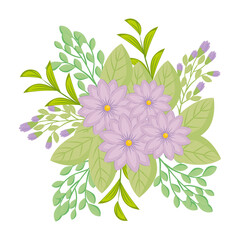 purple flowers with leaves design, natural floral nature plant ornament garden decoration and botany theme Vector illustration